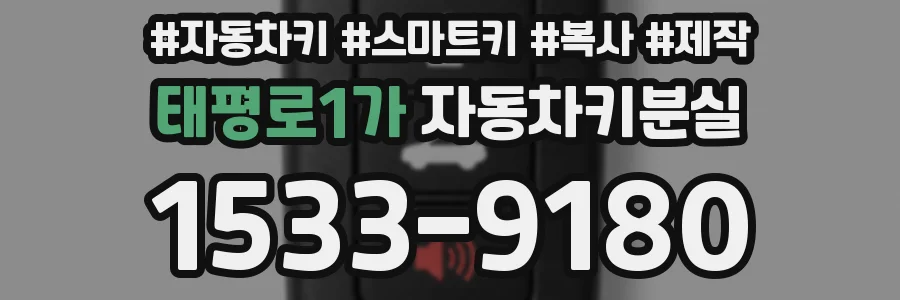태평로1가 자동차키분실