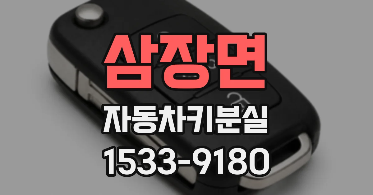 삼장면 자동차키분실