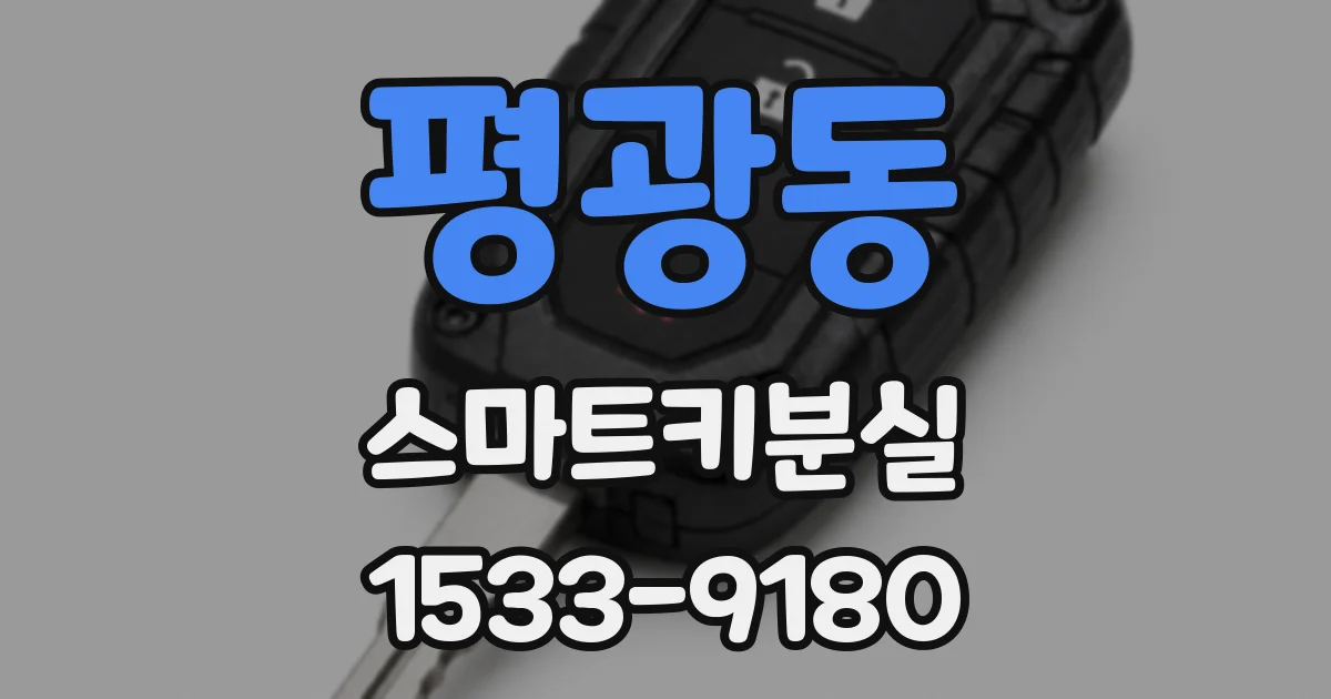 평광동 스마트키분실
