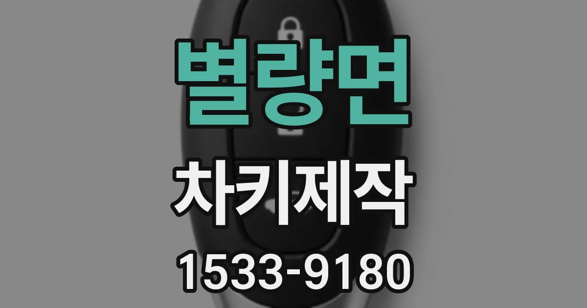 별량면 차키제작