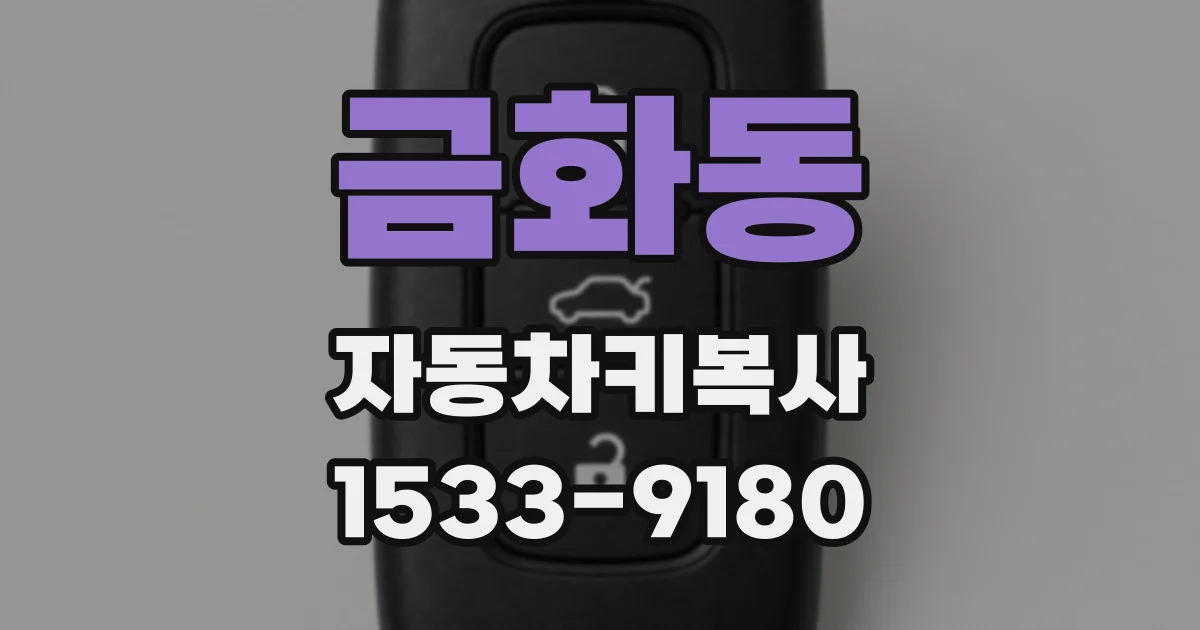 금화동 자동차키복사