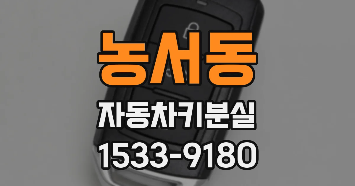 농서동 자동차키분실