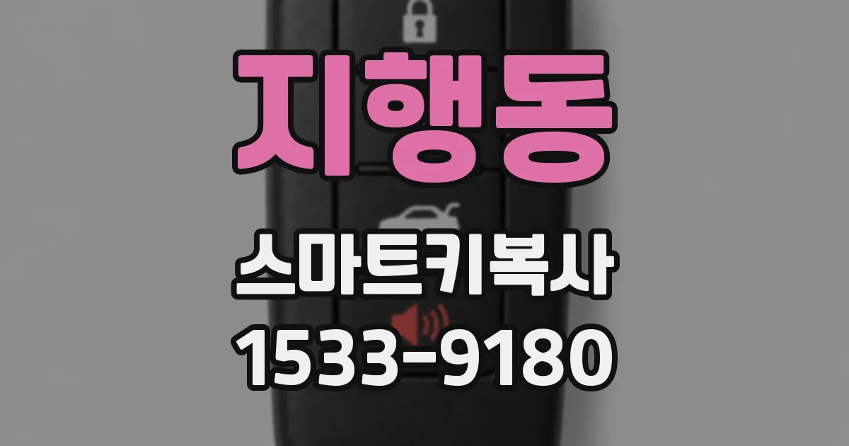 지행동 스마트키복사