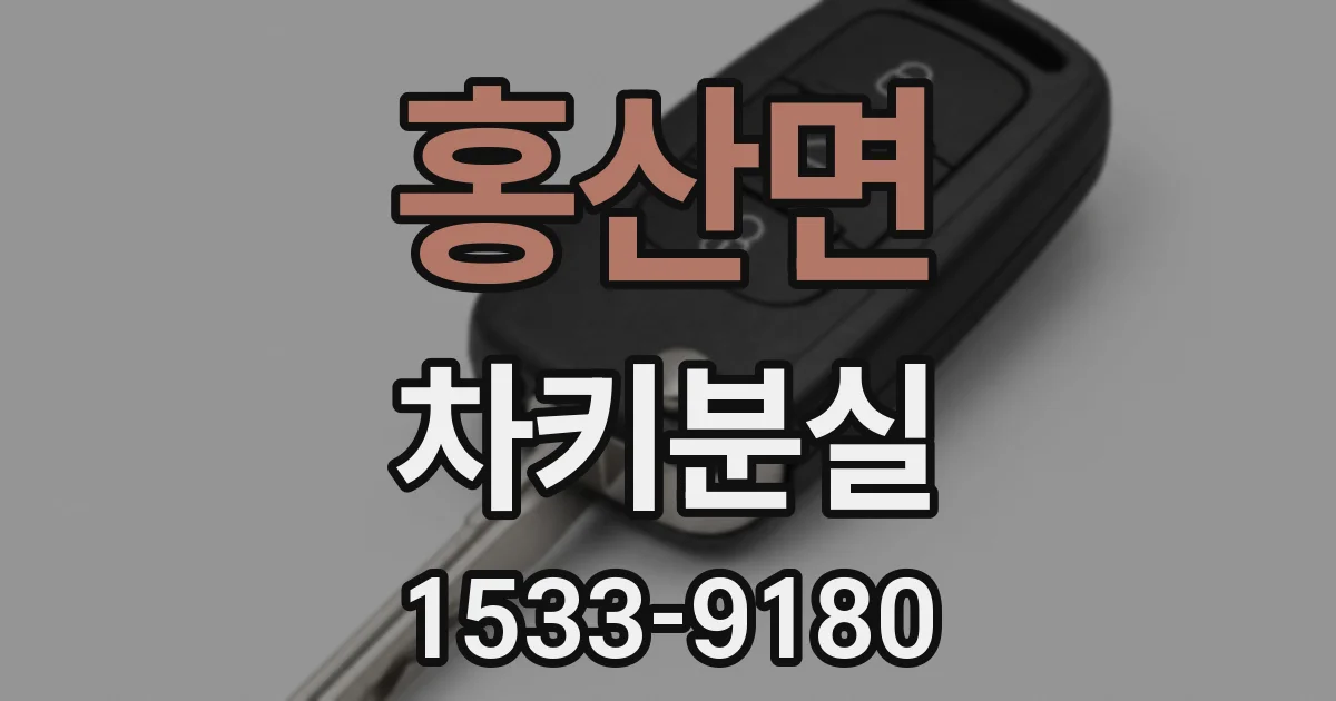홍산면 차키분실
