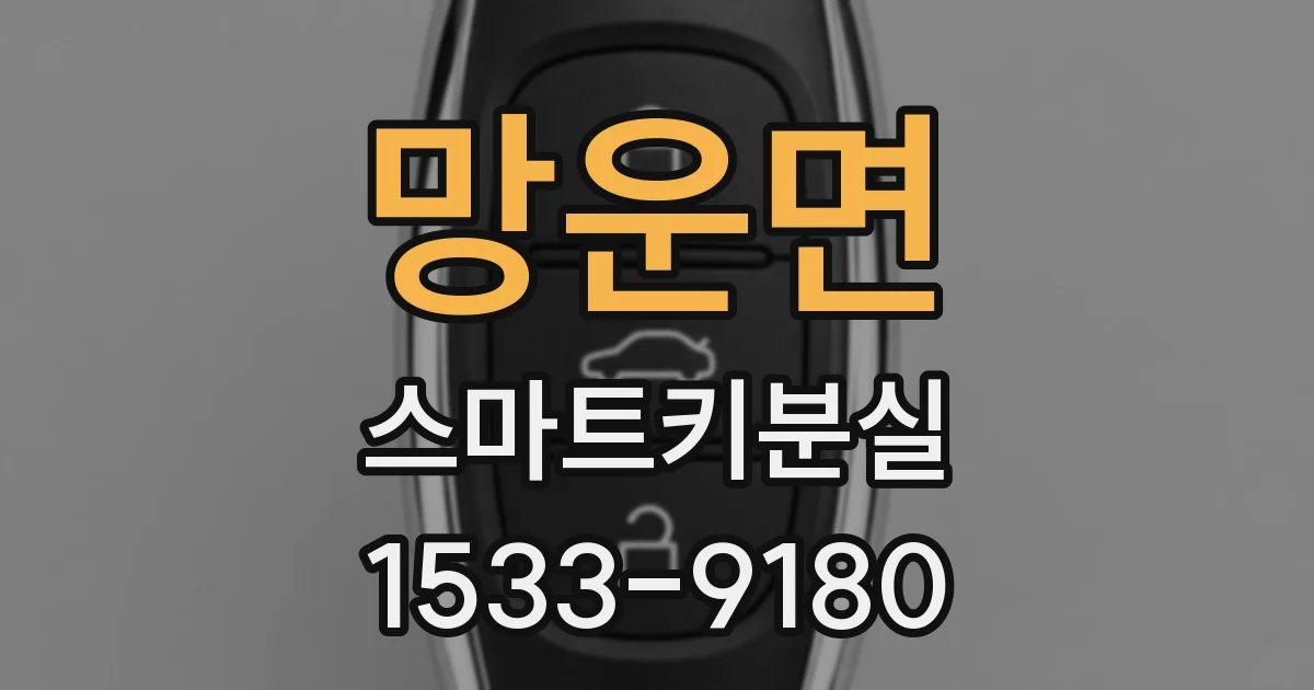 망운면 스마트키분실