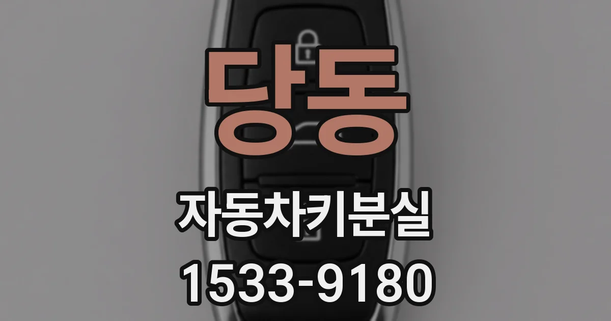 당동 자동차키분실