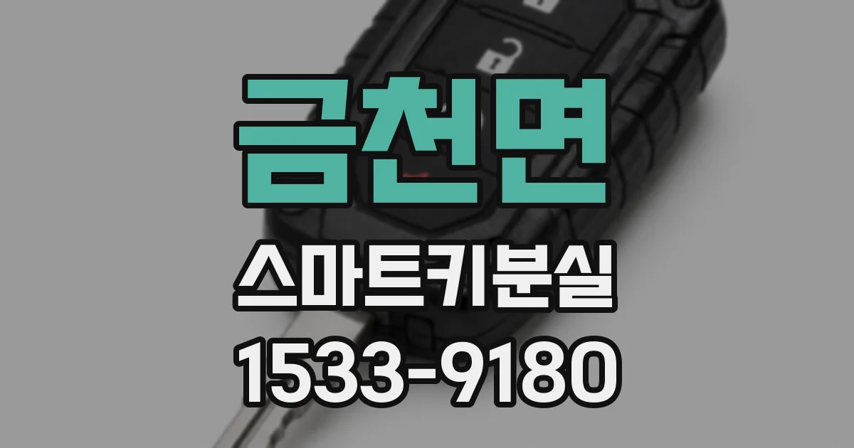 금천면 스마트키분실
