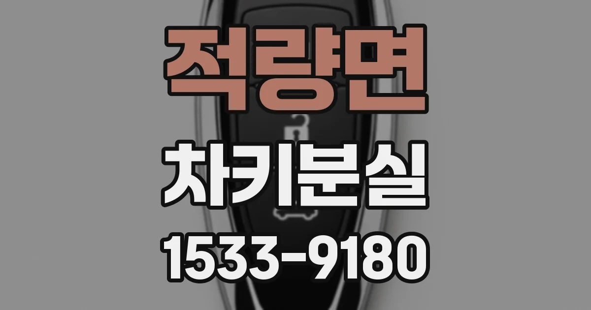 적량면 차키분실