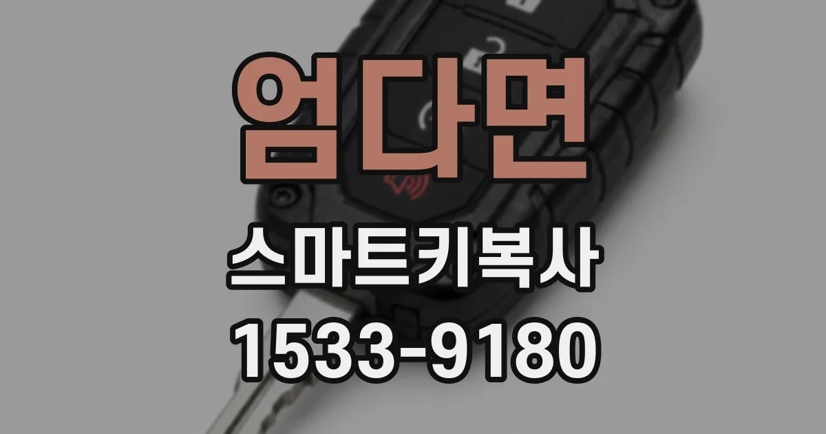 엄다면 스마트키복사