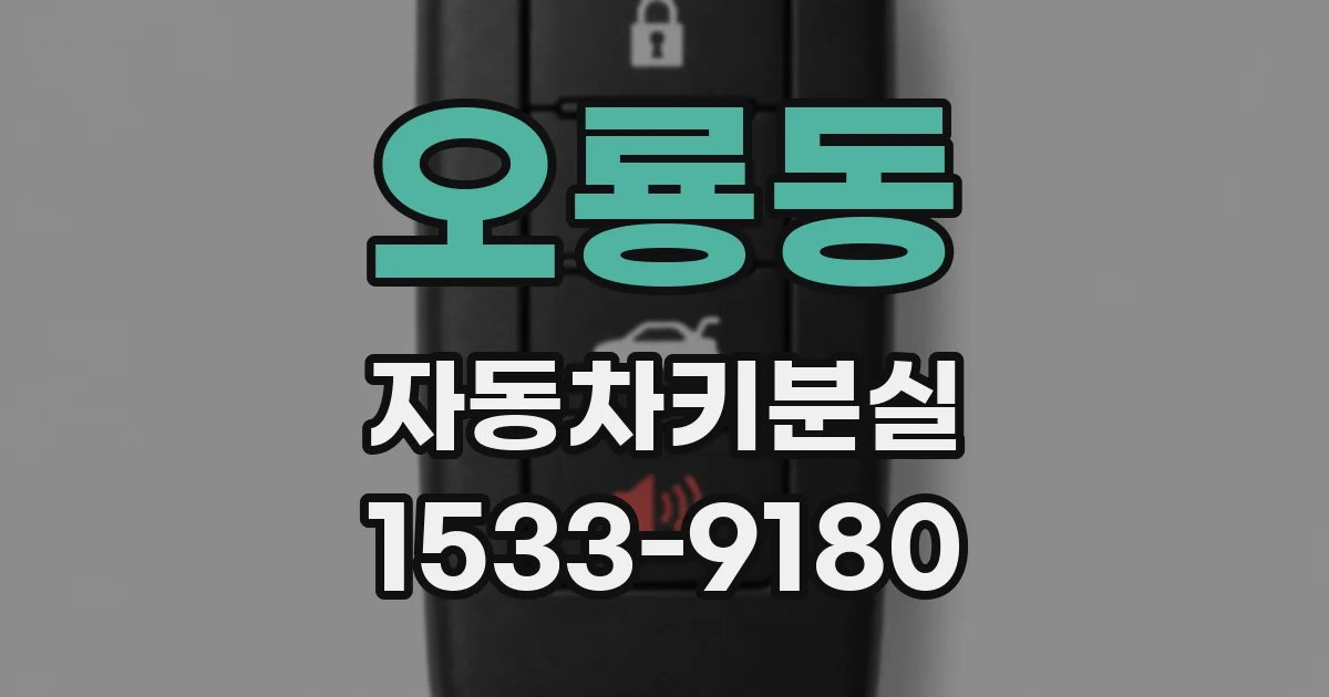 오룡동 자동차키분실
