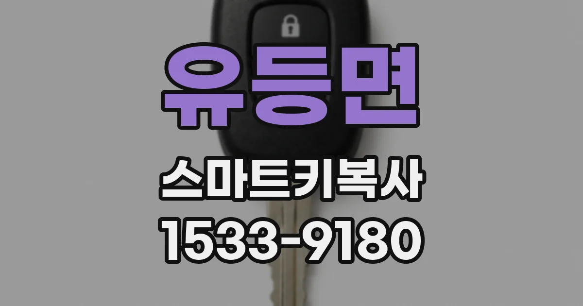 유등면 스마트키복사