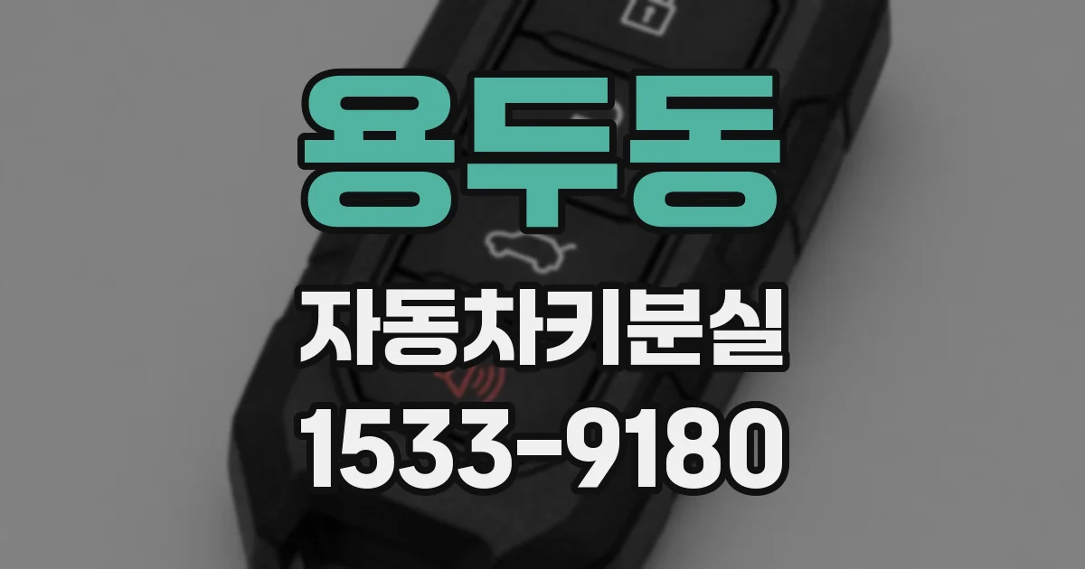 용두동 자동차키분실