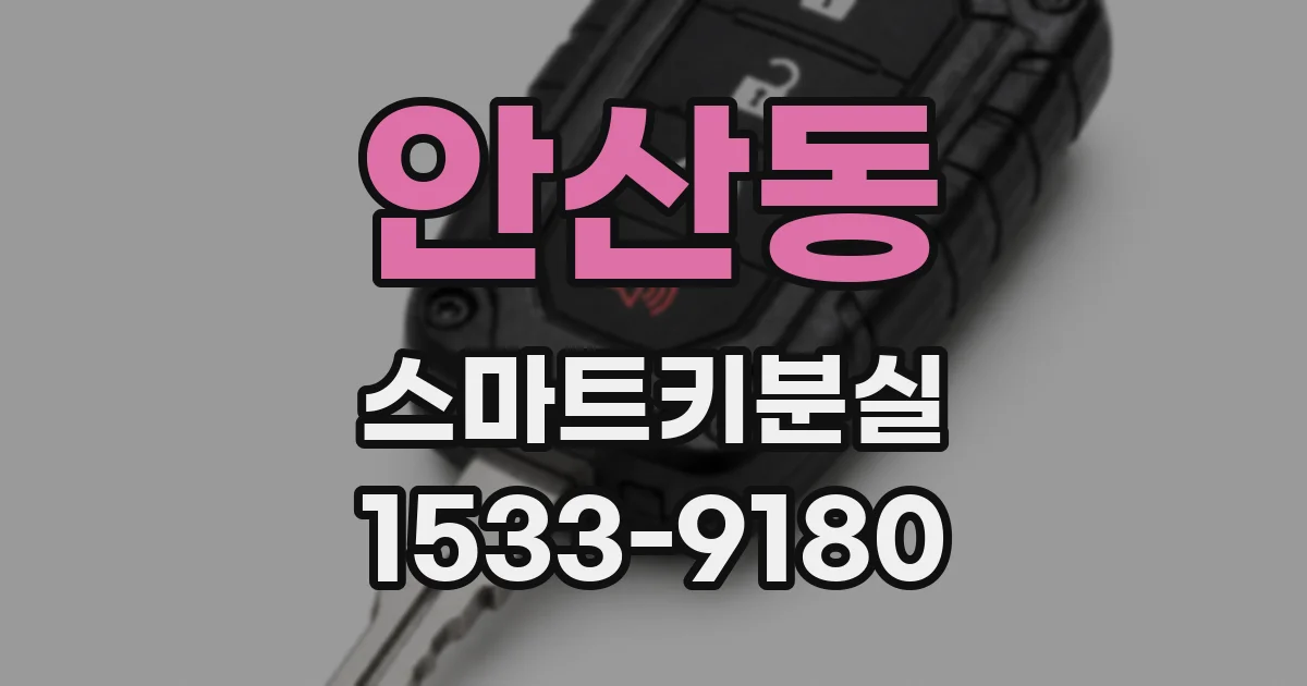 안산동 스마트키분실