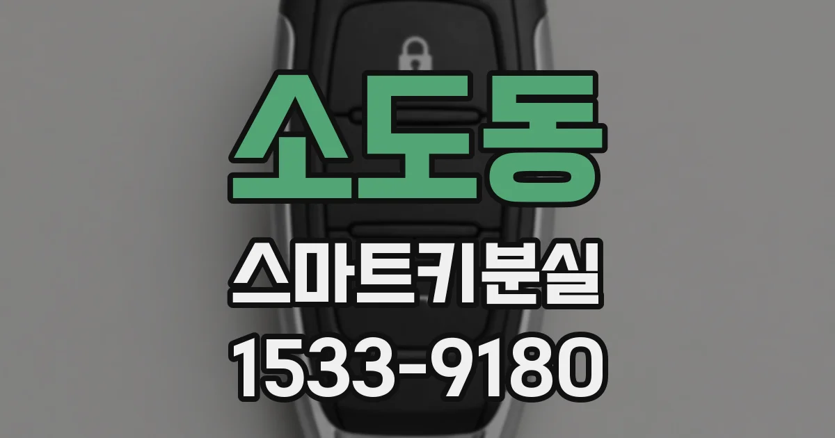 소도동 스마트키분실