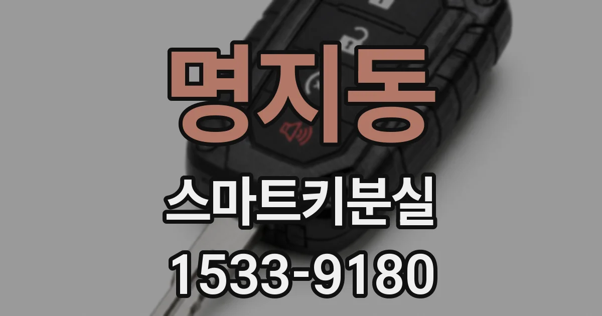 명지동 스마트키분실
