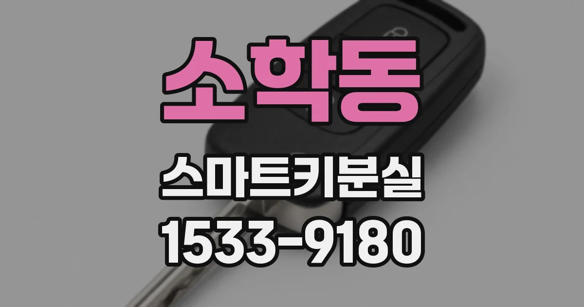 소학동 스마트키분실