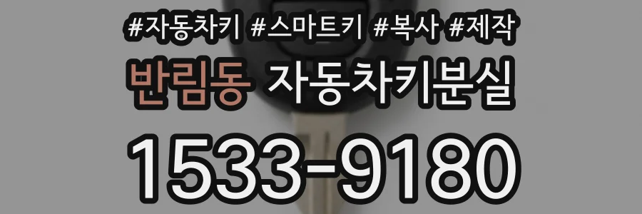 반림동 자동차키분실