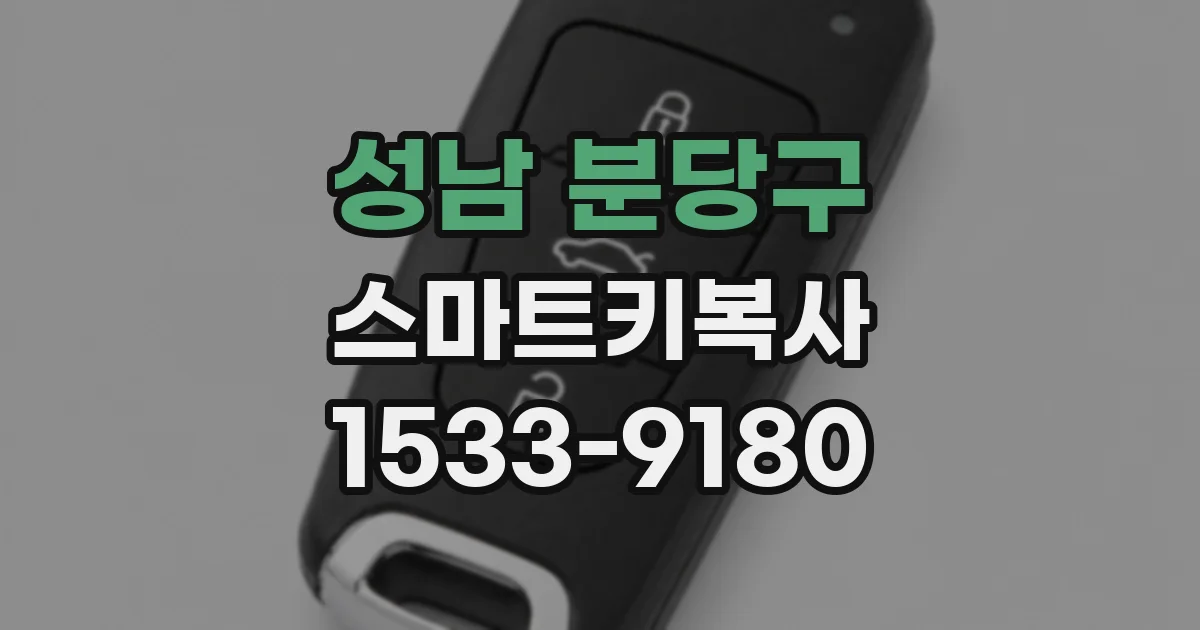 성남 분당구 스마트키복사