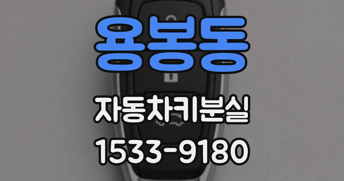 용봉동 자동차키분실