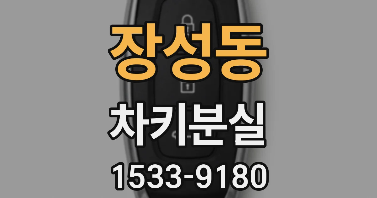 장성동 차키분실