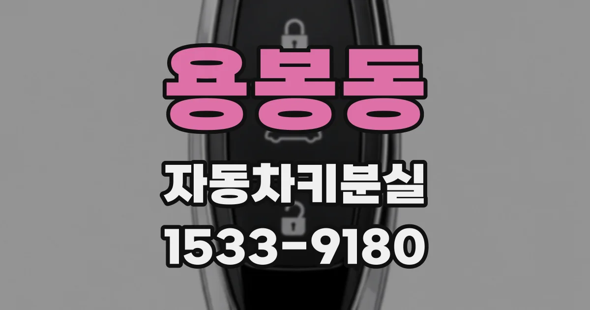 용봉동 자동차키분실