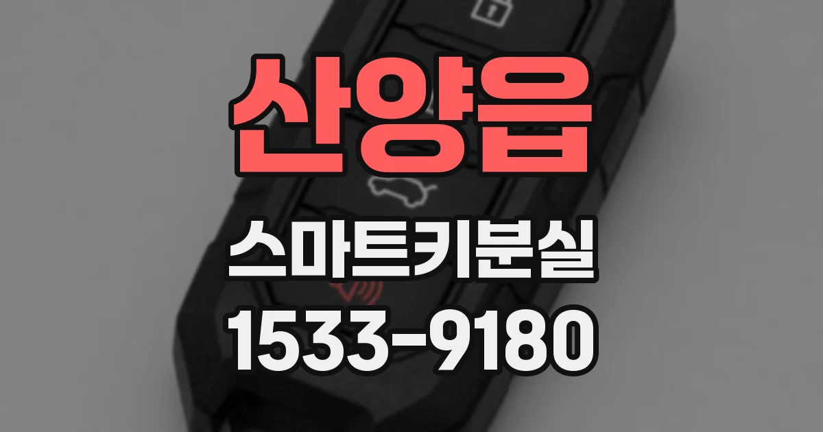 산양읍 스마트키분실
