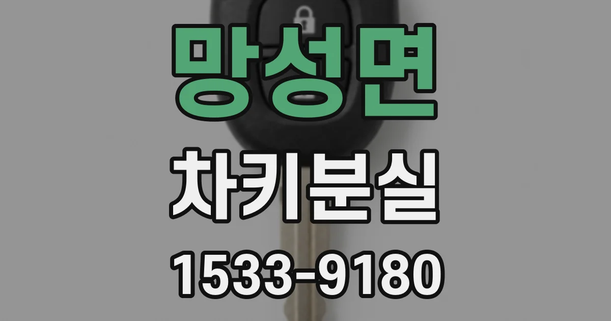 망성면 차키분실