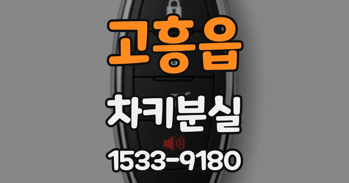 고흥읍 차키분실