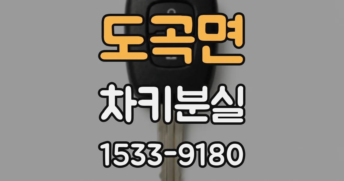 도곡면 차키분실