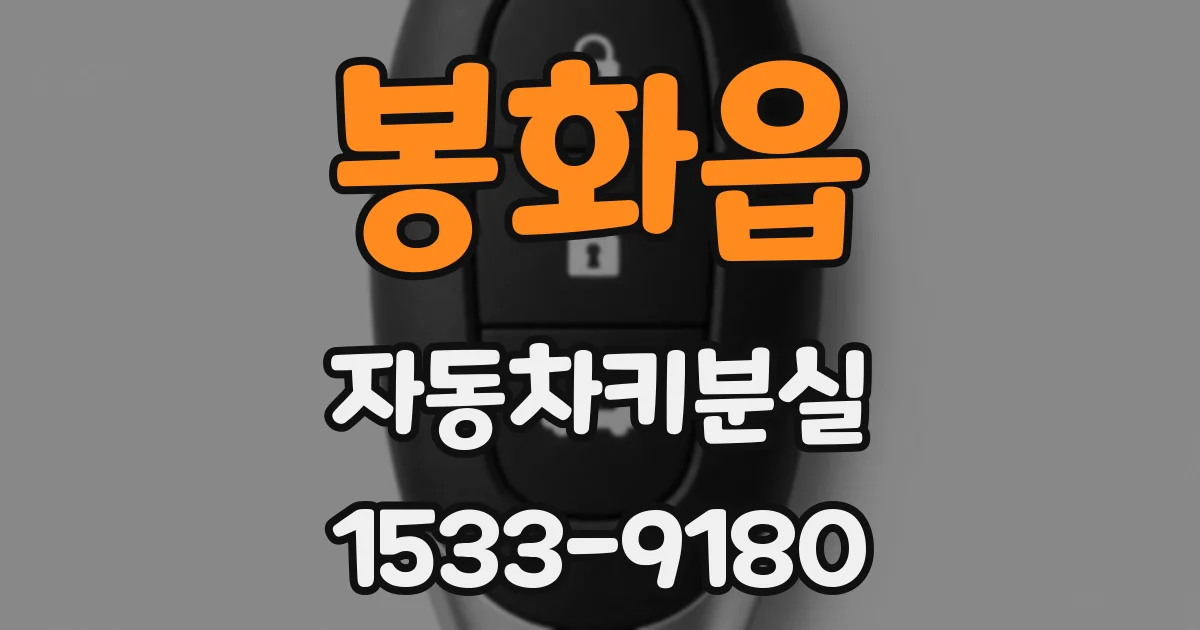 봉화읍 자동차키분실