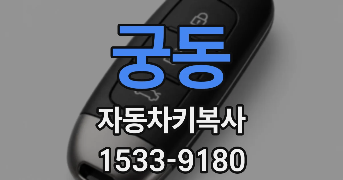 궁동 자동차키복사