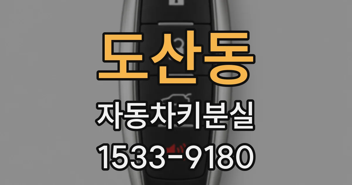도산동 자동차키분실