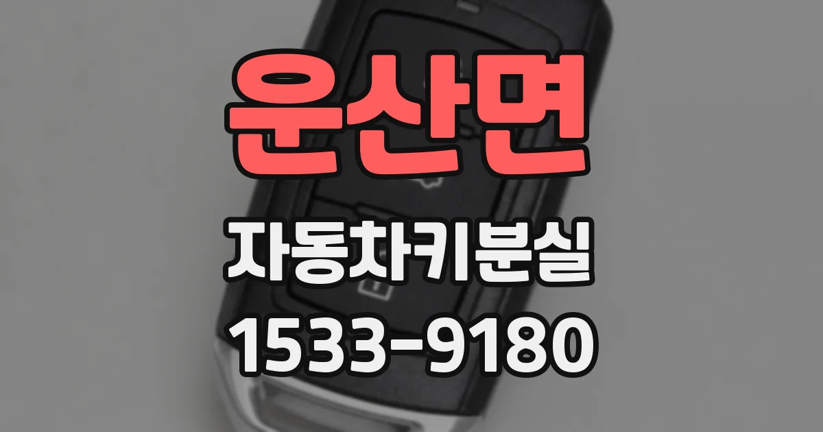 운산면 자동차키분실