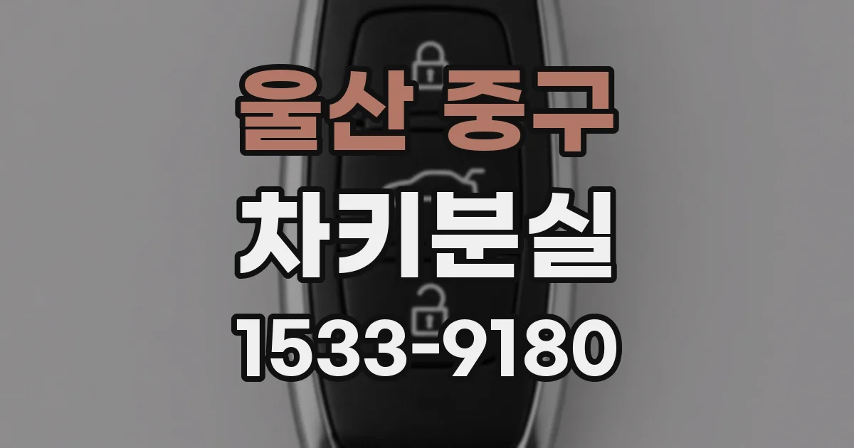 울산 중구 차키분실