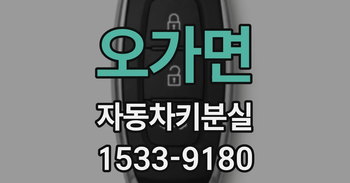 오가면 자동차키분실