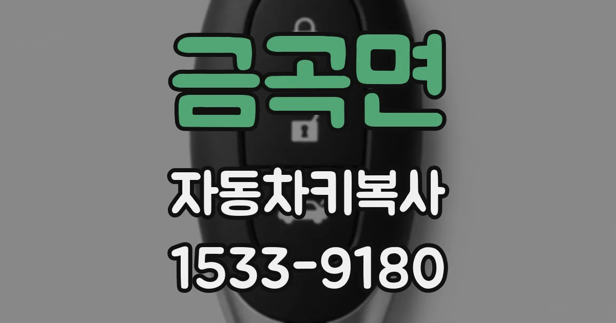 금곡면 자동차키복사