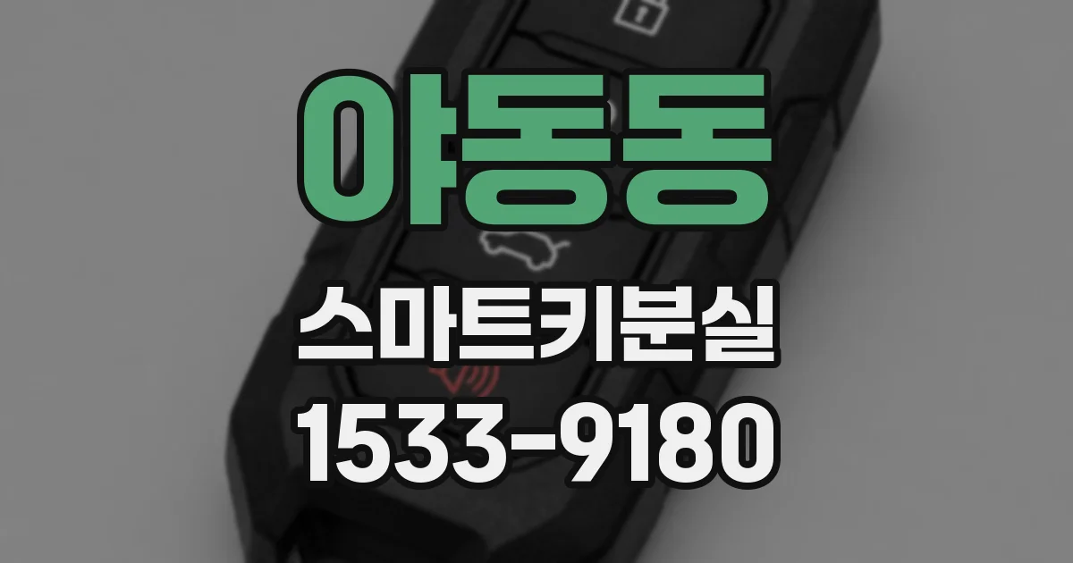 야동동 스마트키분실