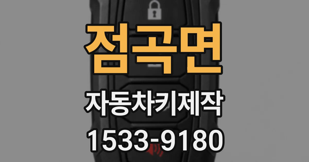 점곡면 자동차키제작
