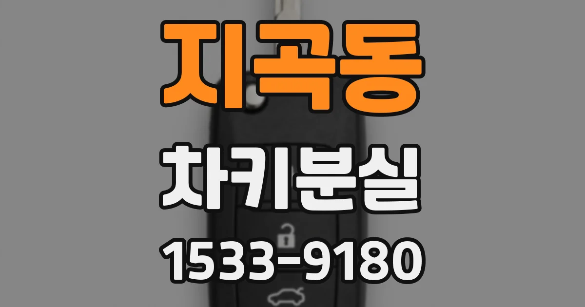 지곡동 차키분실