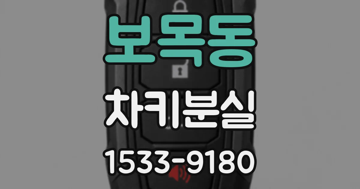 보목동 차키분실