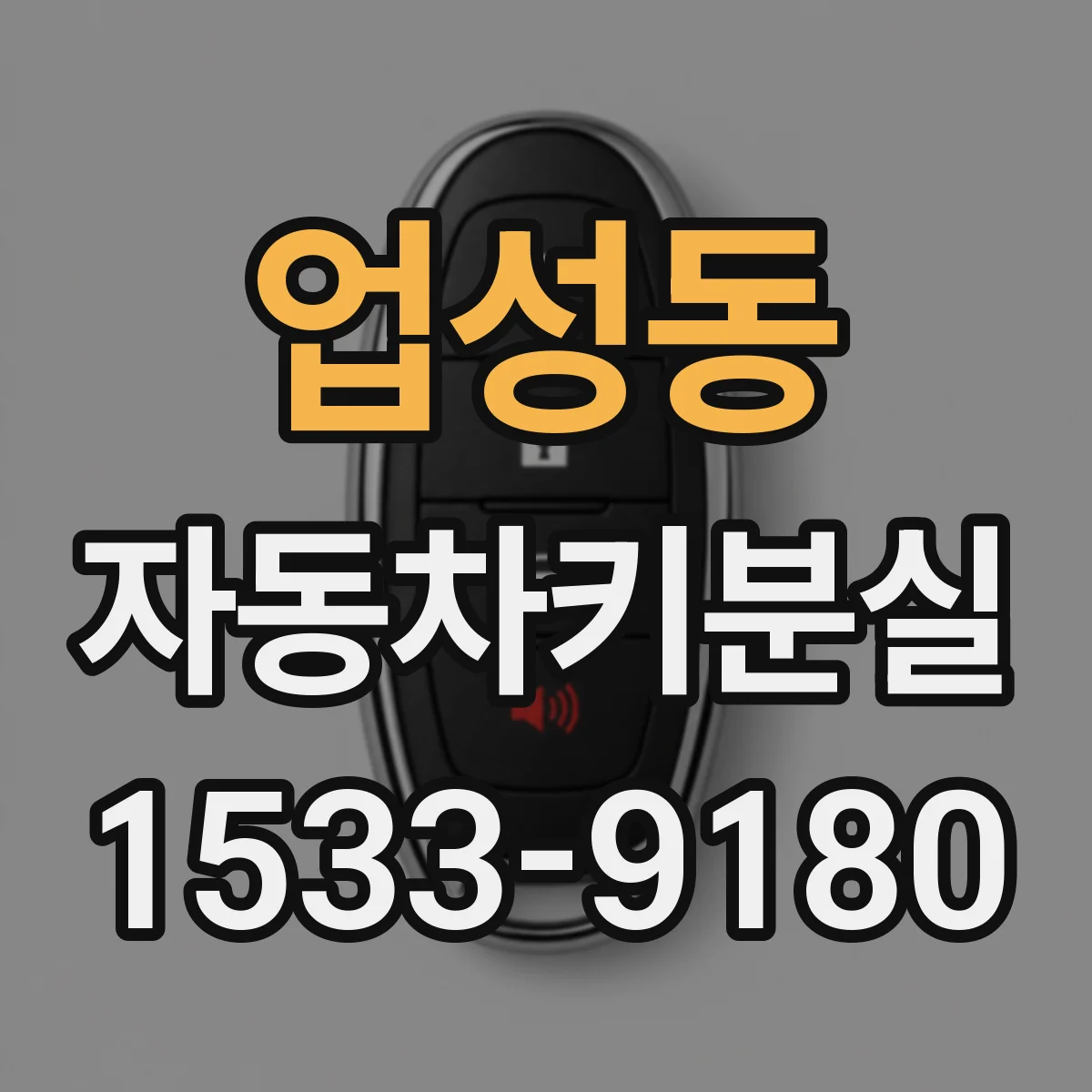업성동 자동차키분실