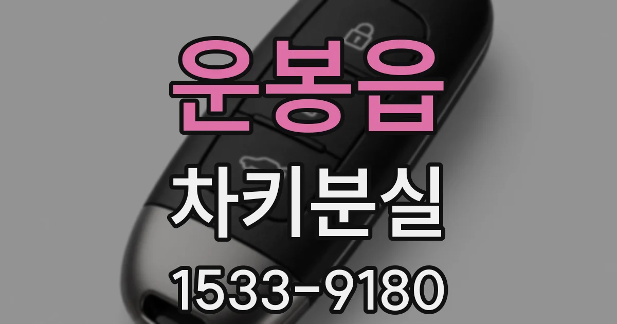 운봉읍 차키분실