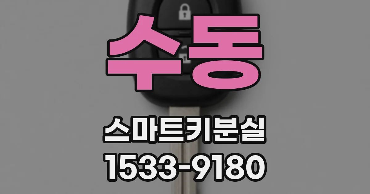 수동 스마트키분실