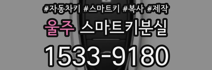 울주 스마트키분실
