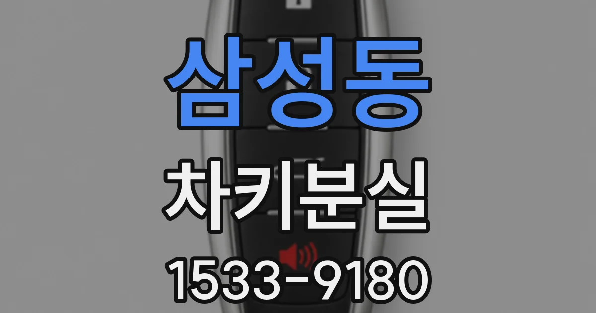 삼성동 차키분실