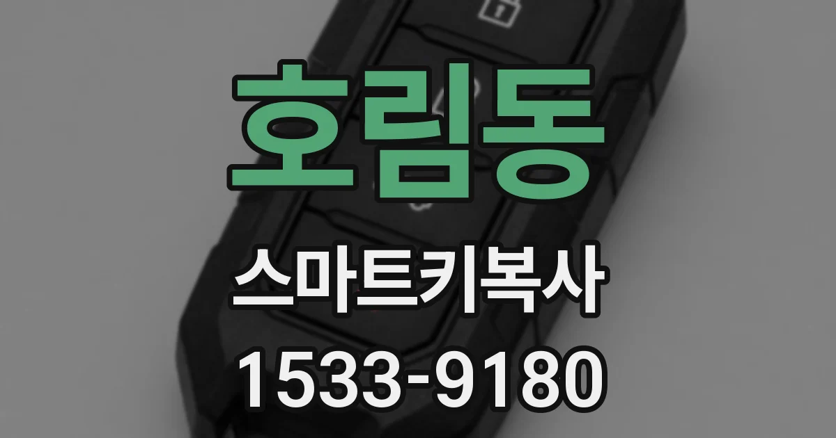 호림동 스마트키복사