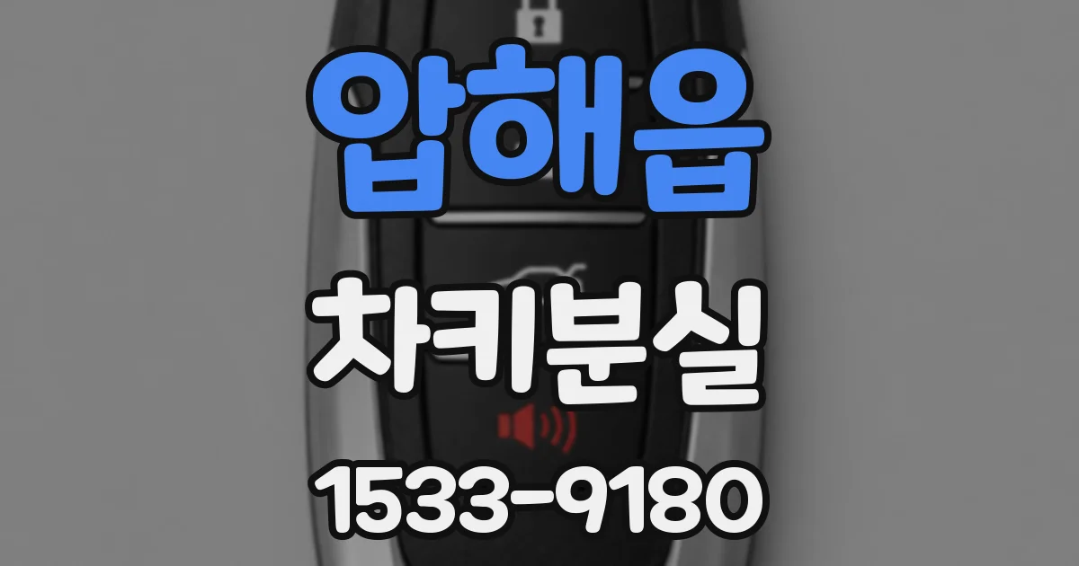 압해읍 차키분실