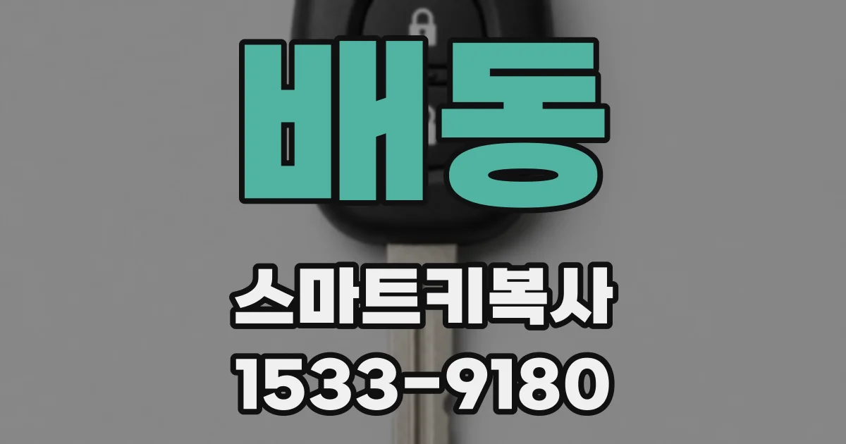 배동 스마트키복사