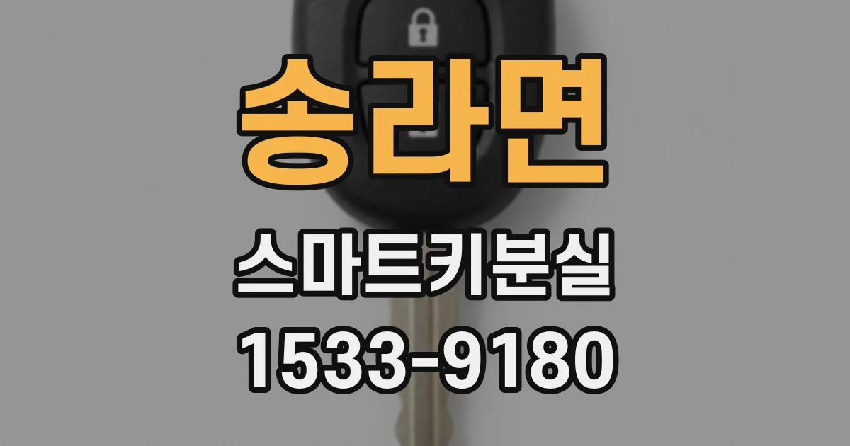 송라면 스마트키분실