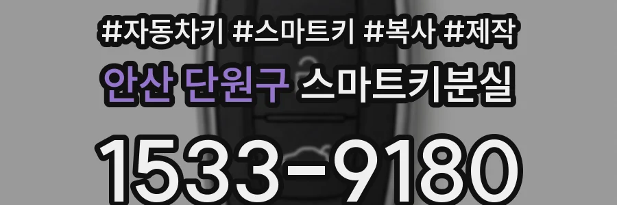 안산 단원구 스마트키분실